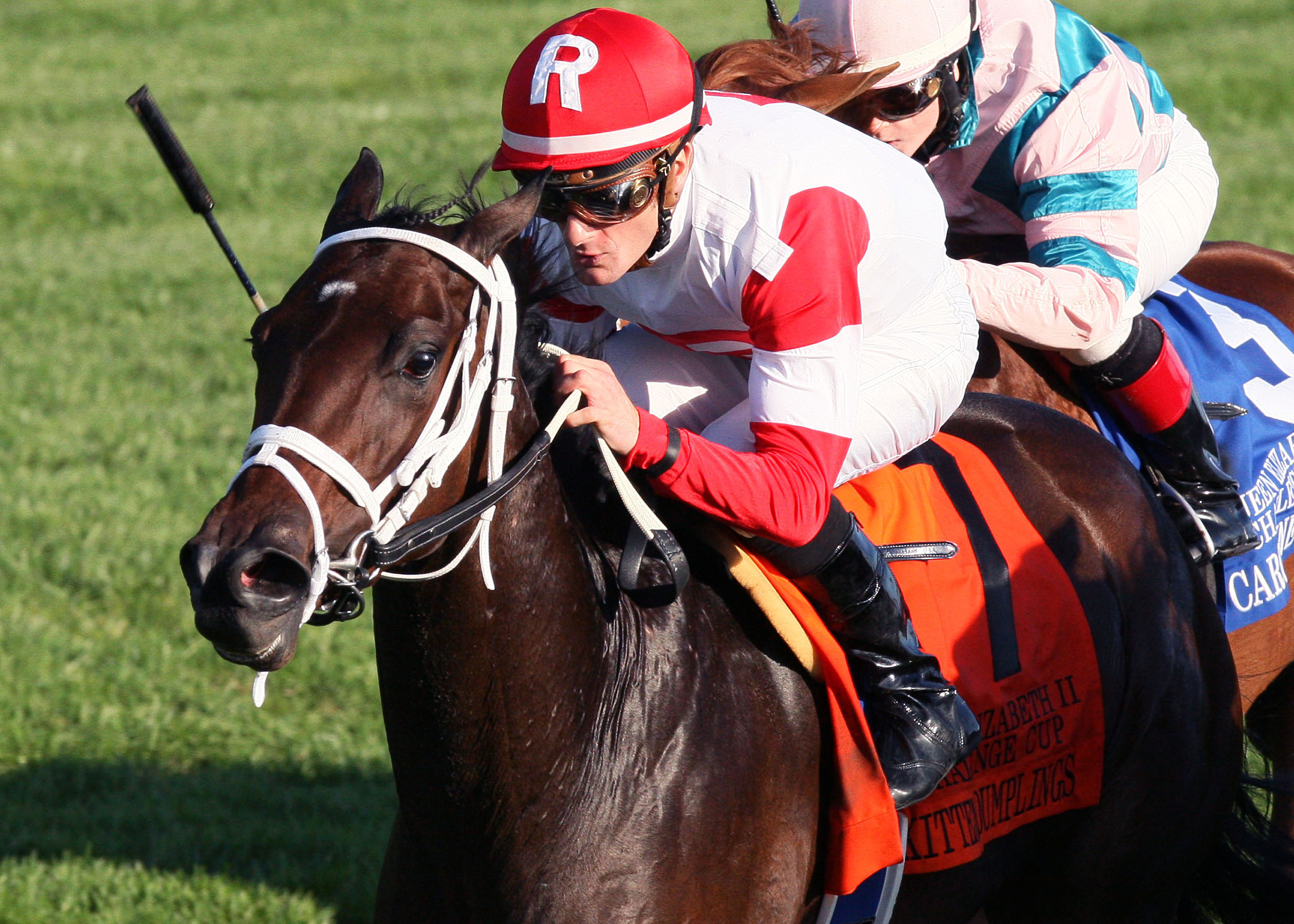 Kitten's Dumplings wins the 2013 Queen Elizabeth II