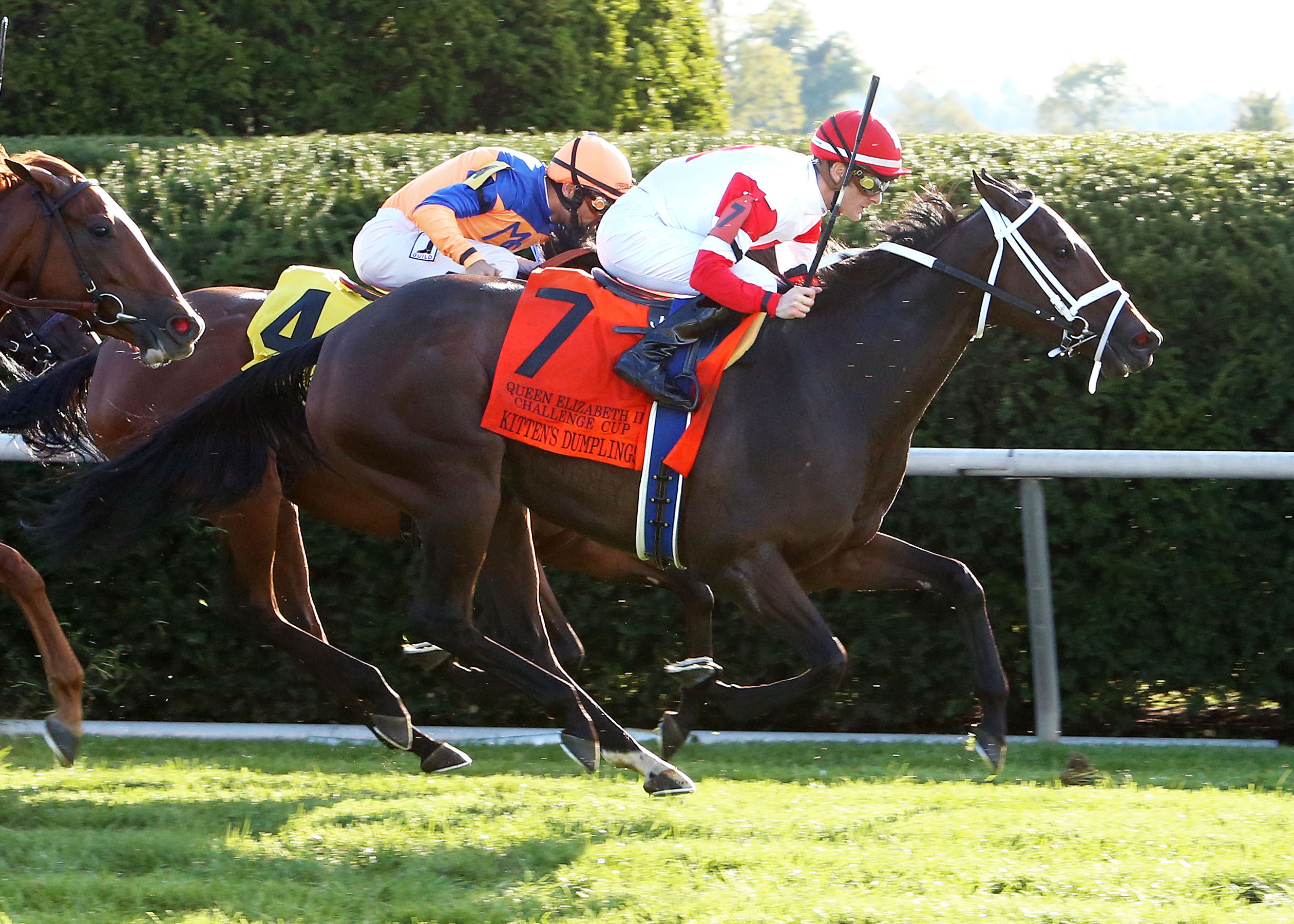 Kitten's Dumplings wins the Queen Elizabeth II