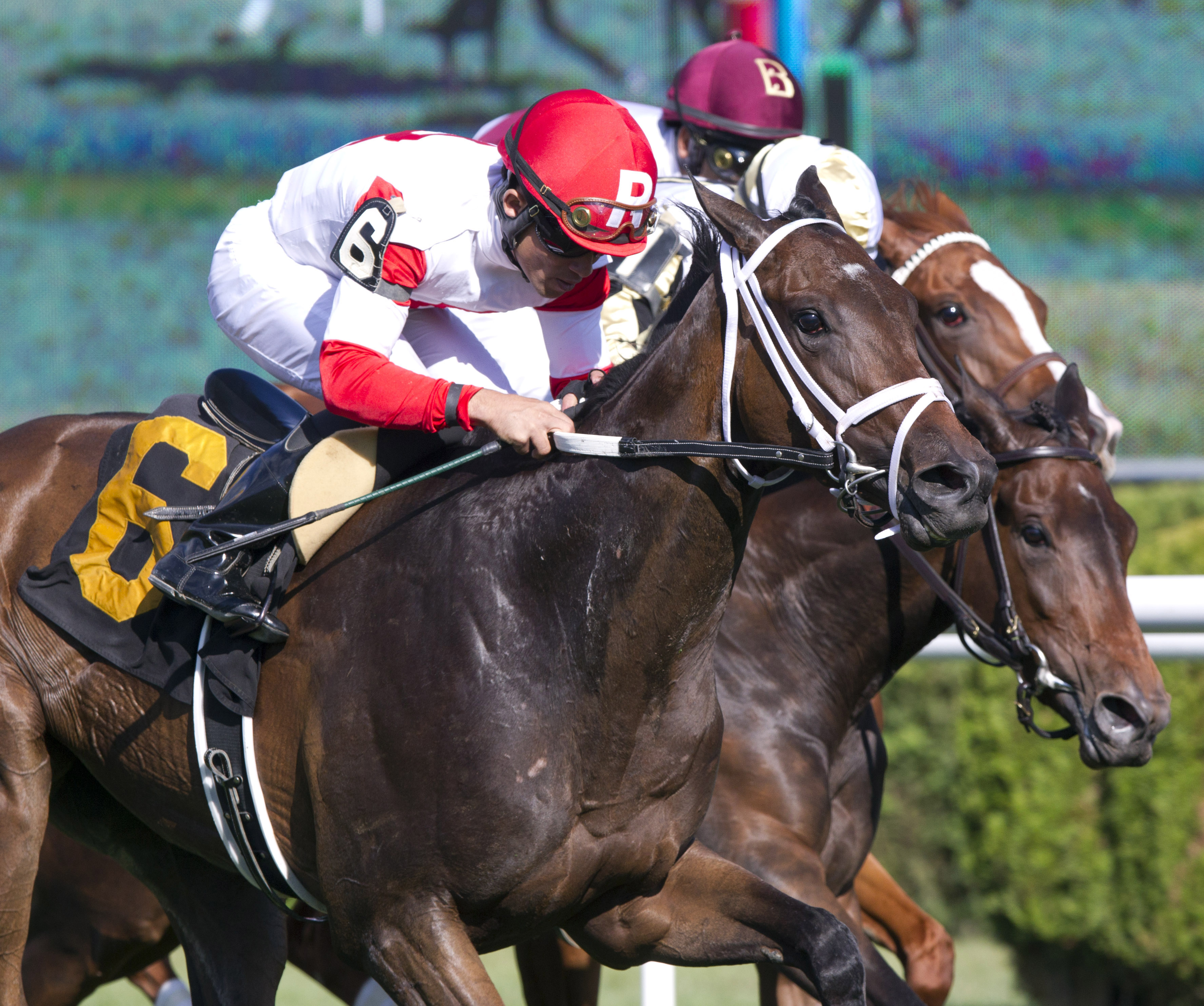 Kitten's Dumplings/Lake George Stakes