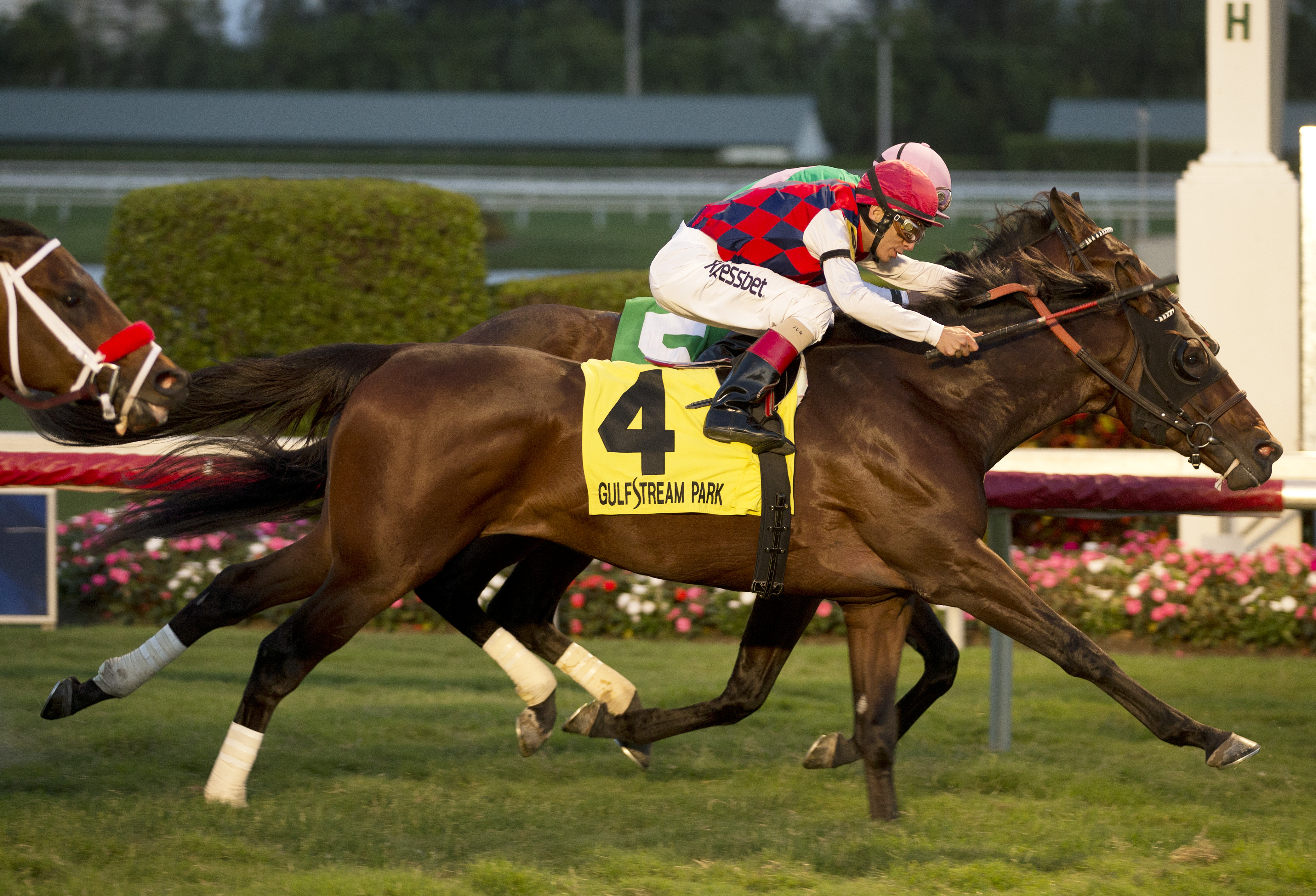Dubai Sky wins 2015 Kitten's Joy
