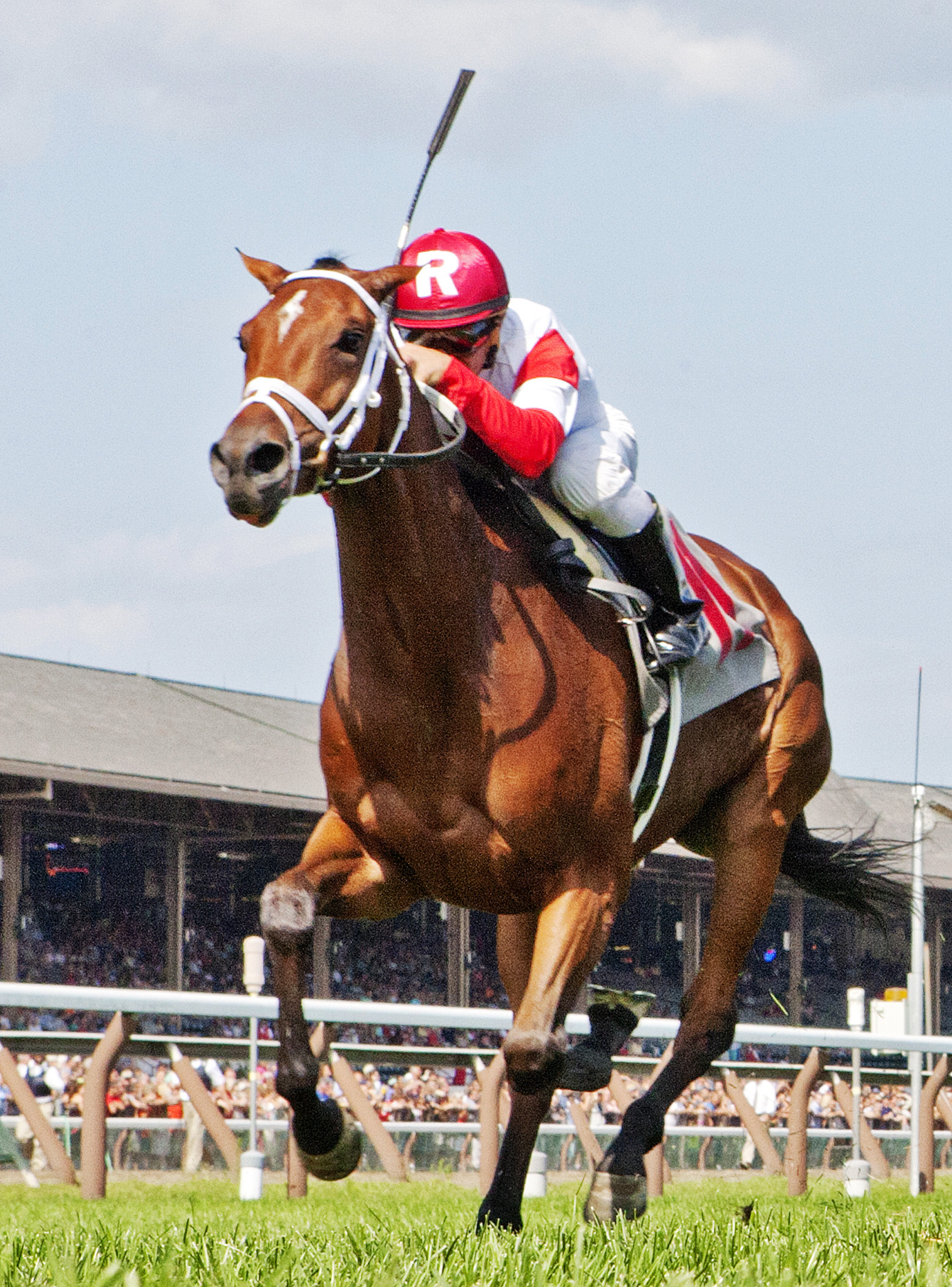 Kitten's Queen wins an allowance race