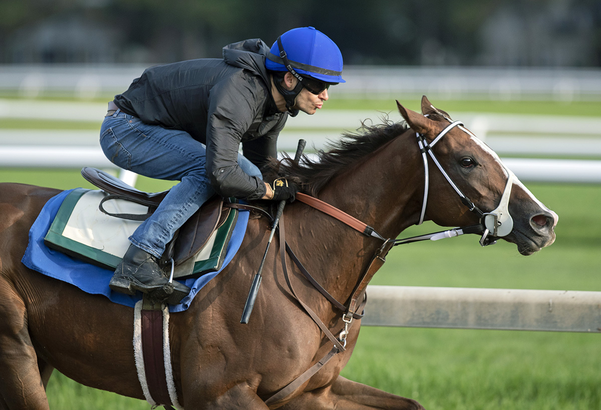Kitten-s Covergirl trains at Saratoga on Aug. 19