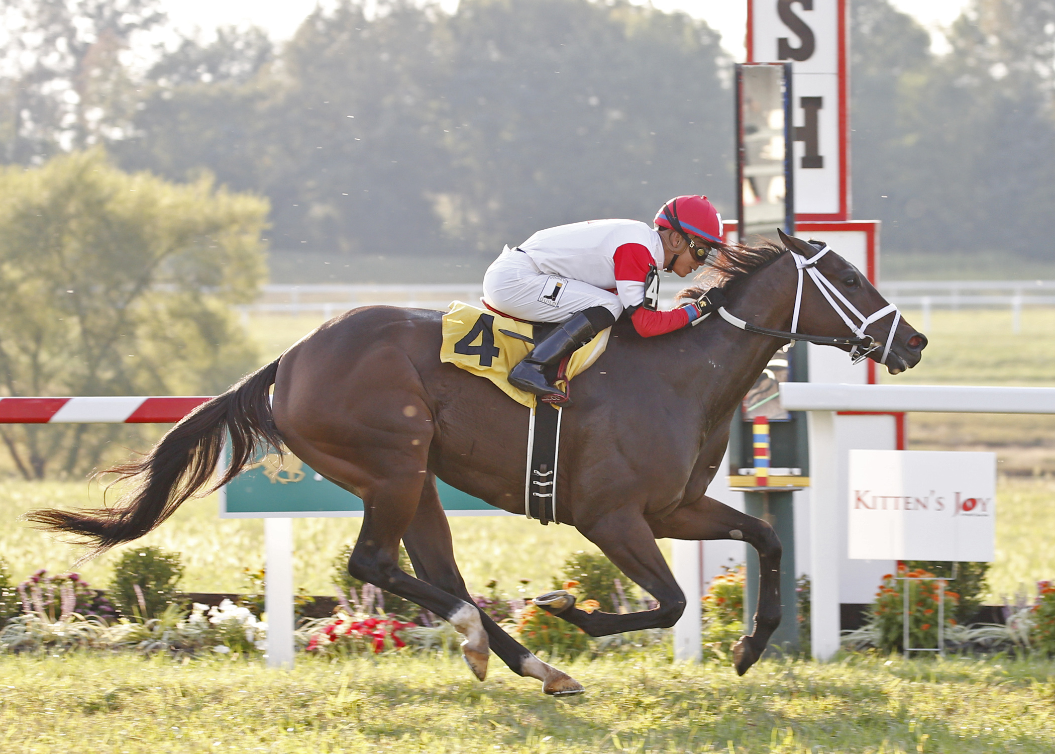 Kitten's Roar wins the 2017 Ramsey Farm Stakes