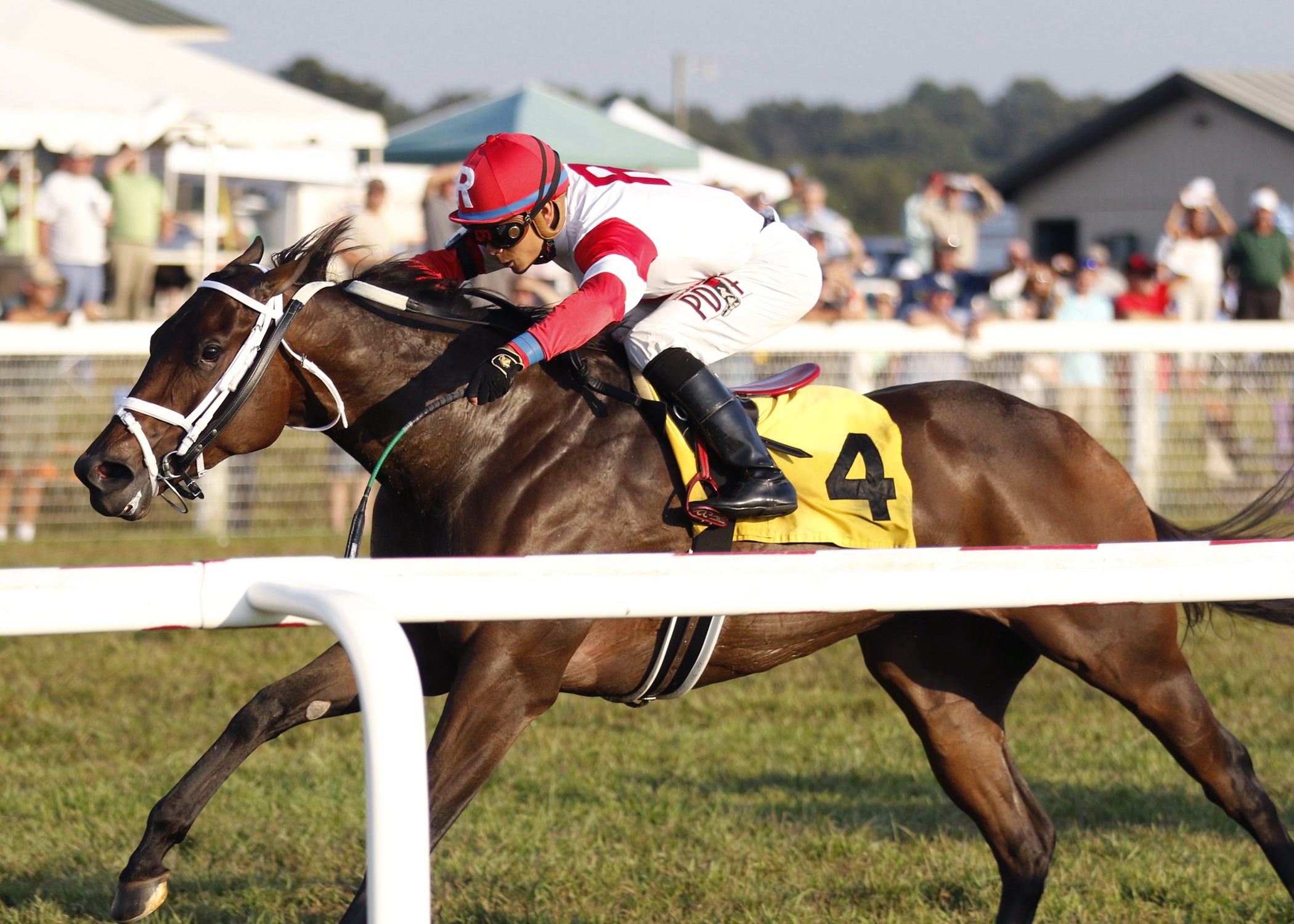 Kittens Roar wins the 2017 Ramsey Farm Stakes