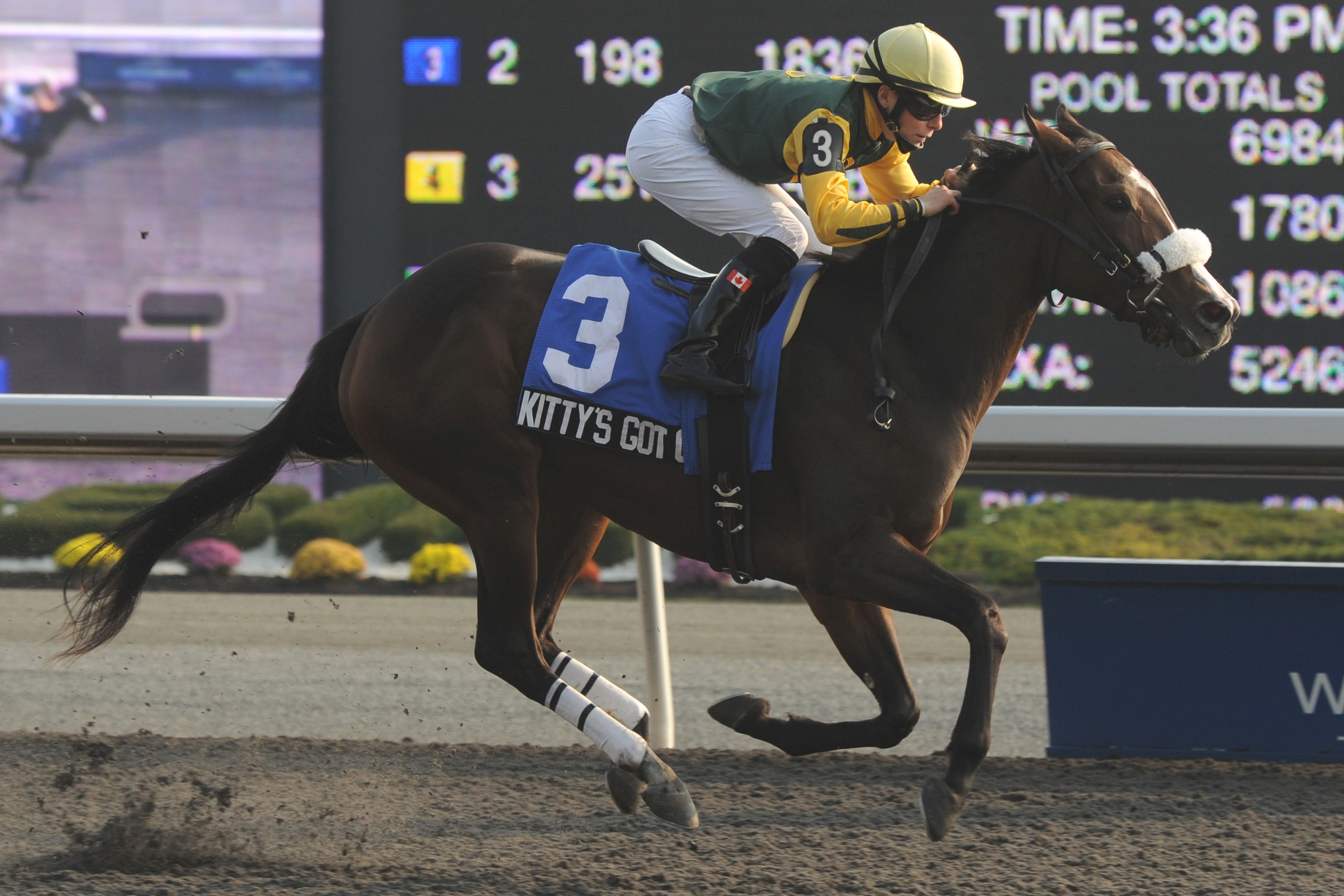Kitty's Got Class, Fanfreluche Stakes