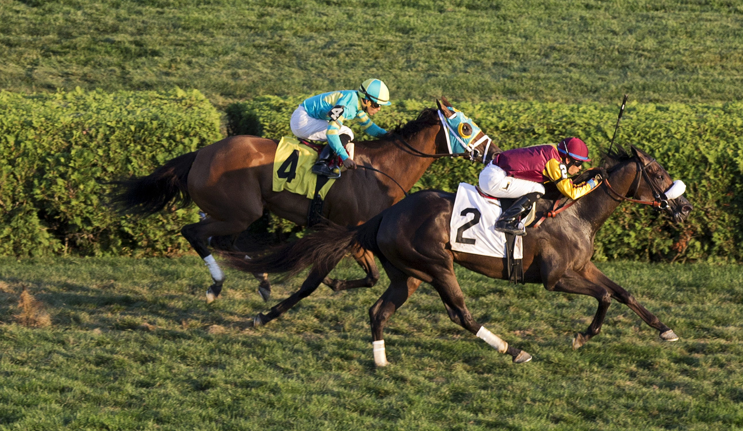 Kitzys Rocket wins an allowance at Saratoga on Sept. 7