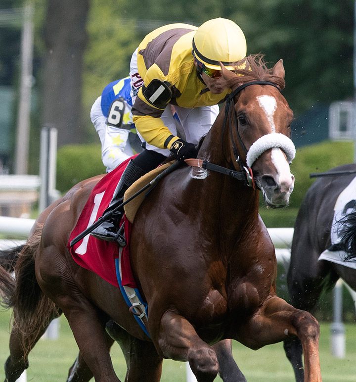 Klickitat finishes fifth in an Aug. 23 maiden race at Saratoga