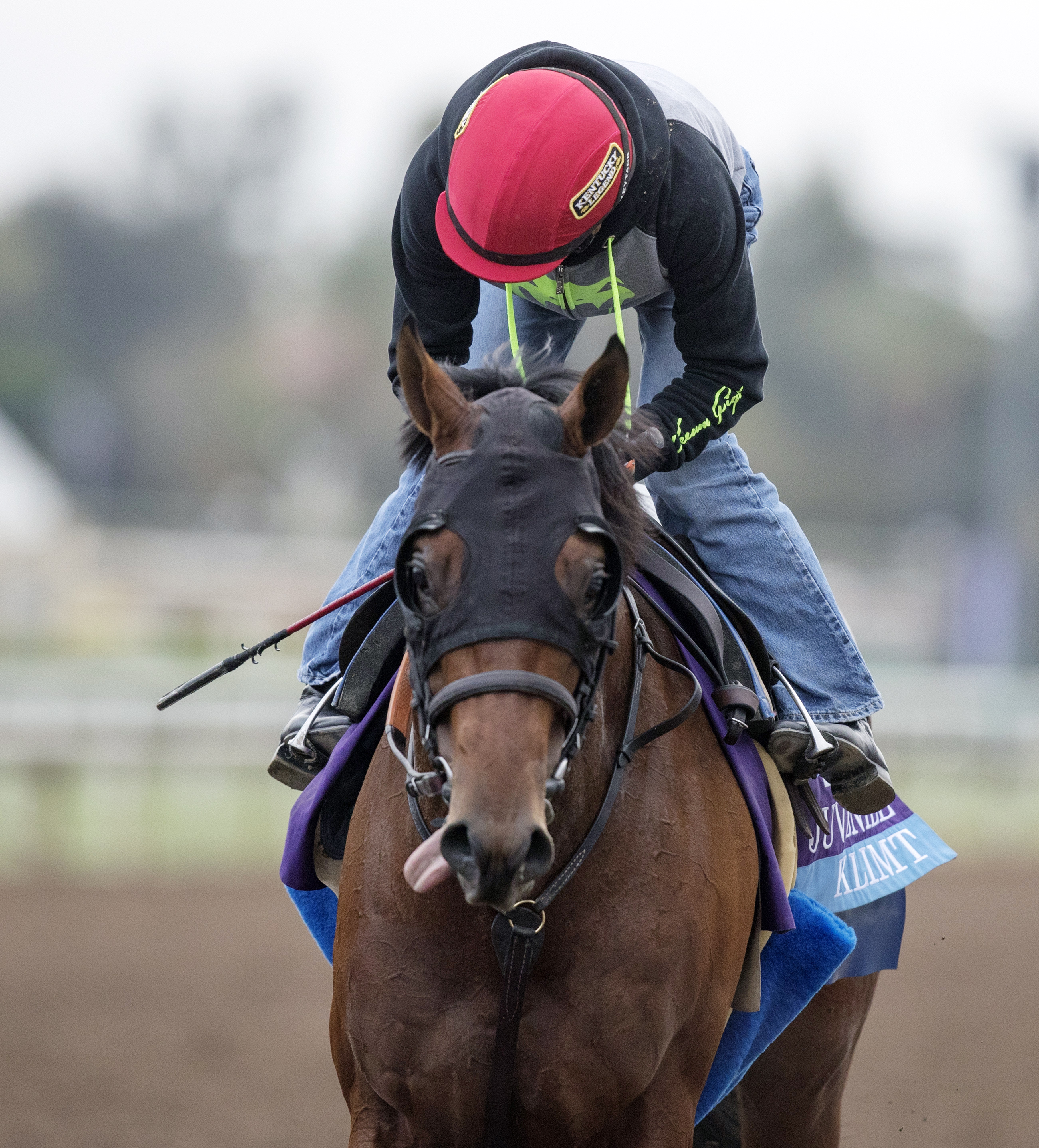 Klimt trains at Santa Anita on Oct. 31, 2016