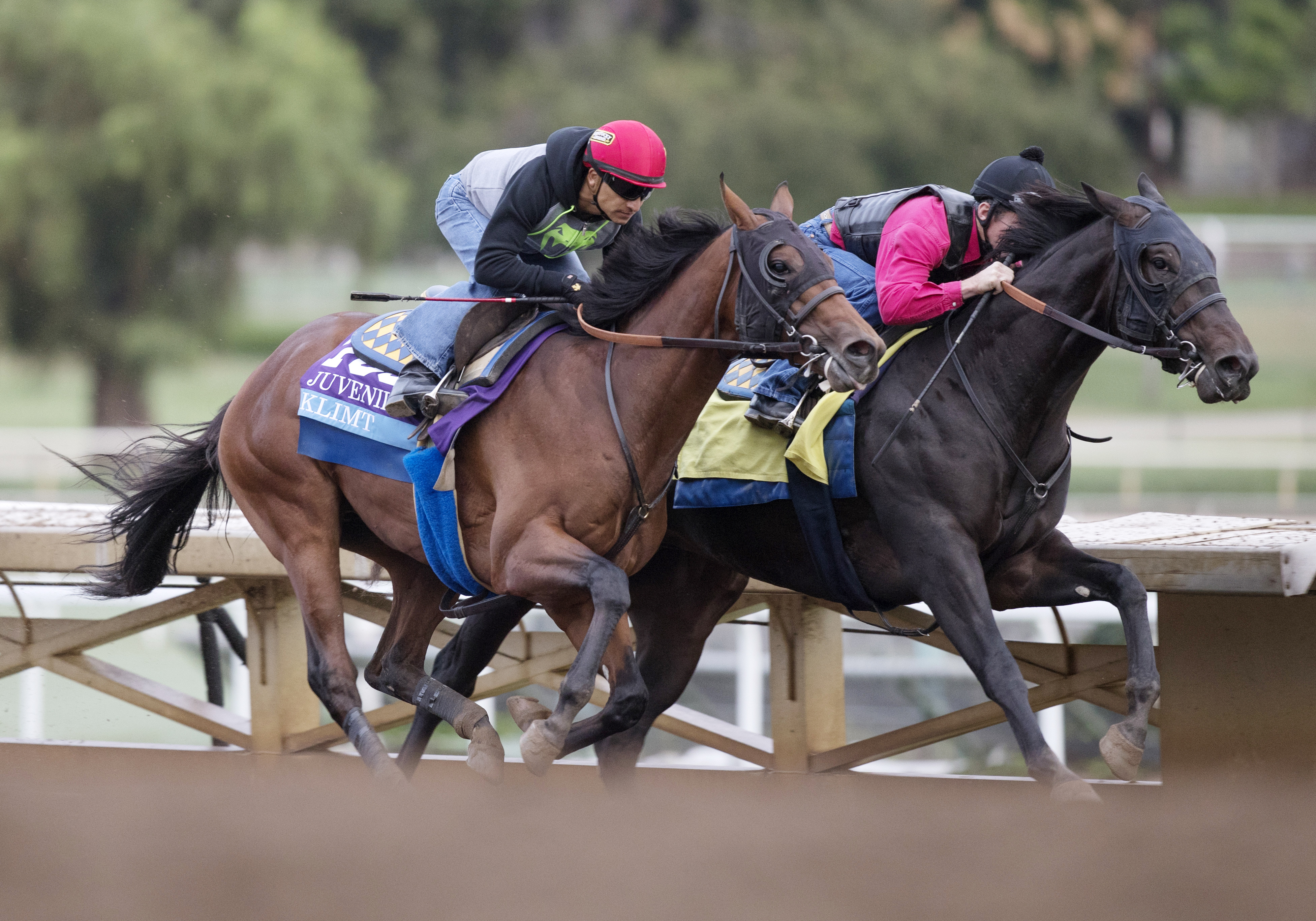 Klimt trains at Santa Anita Park on Oct. 31