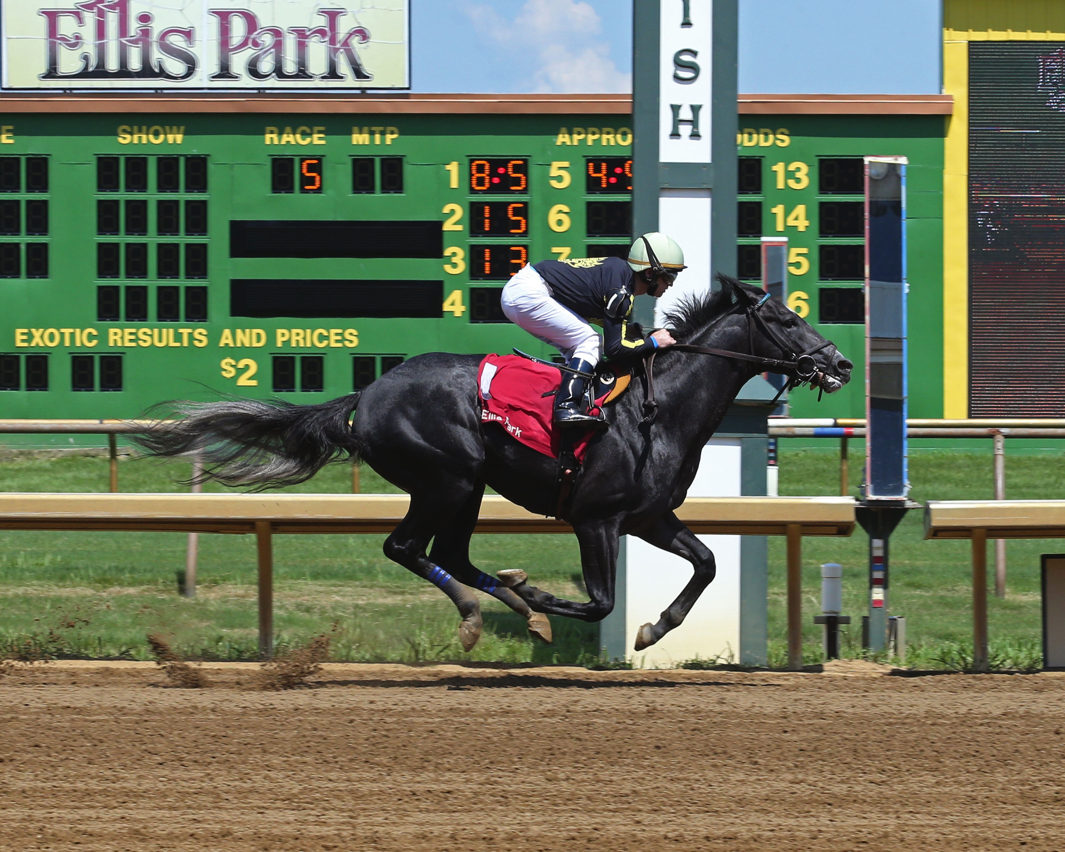 Knicks Go wins a July 4, 2018 maiden race at Ellis Park