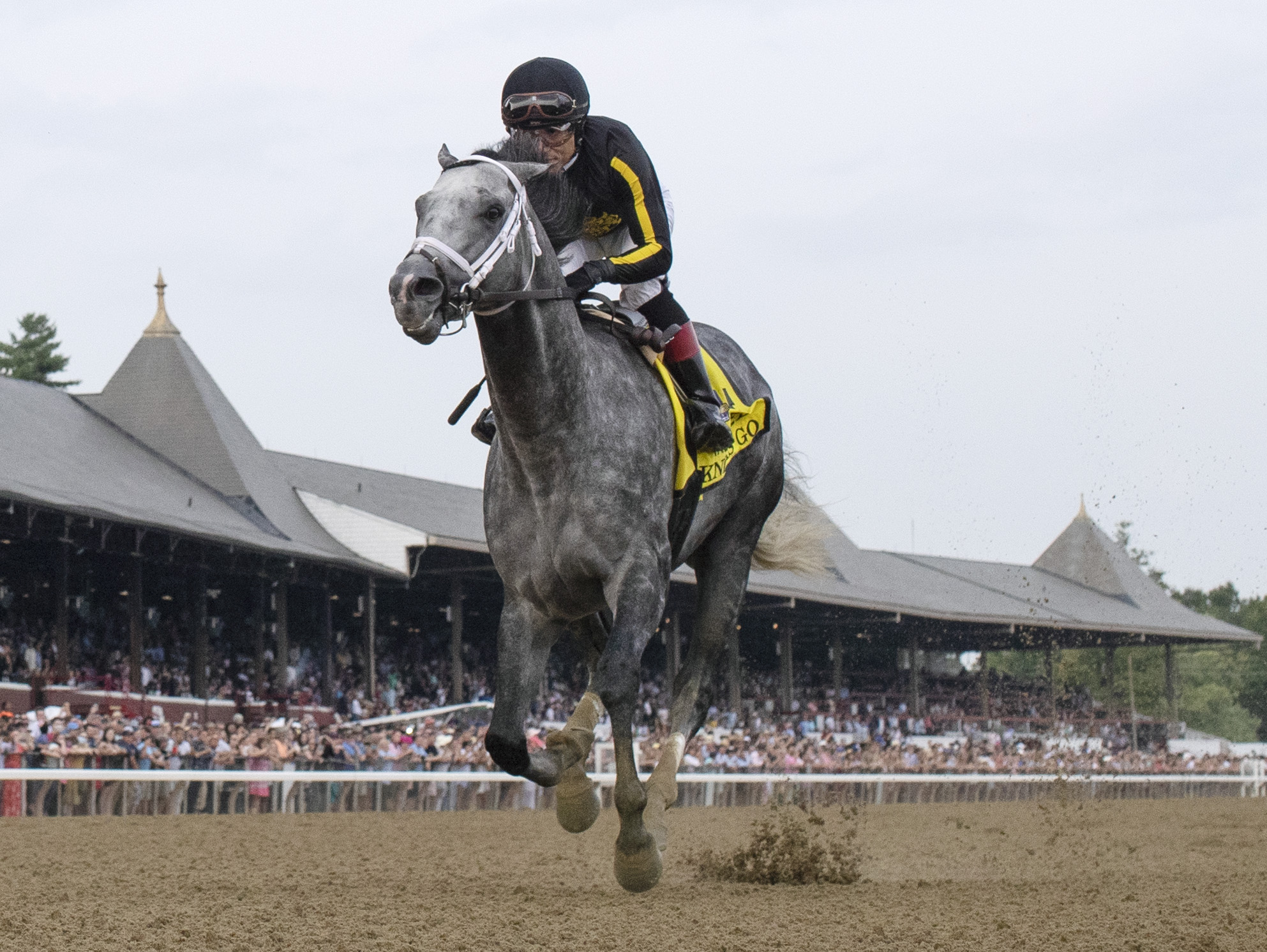 Knicks Go wins Whitney Stakes 8-7-2021
