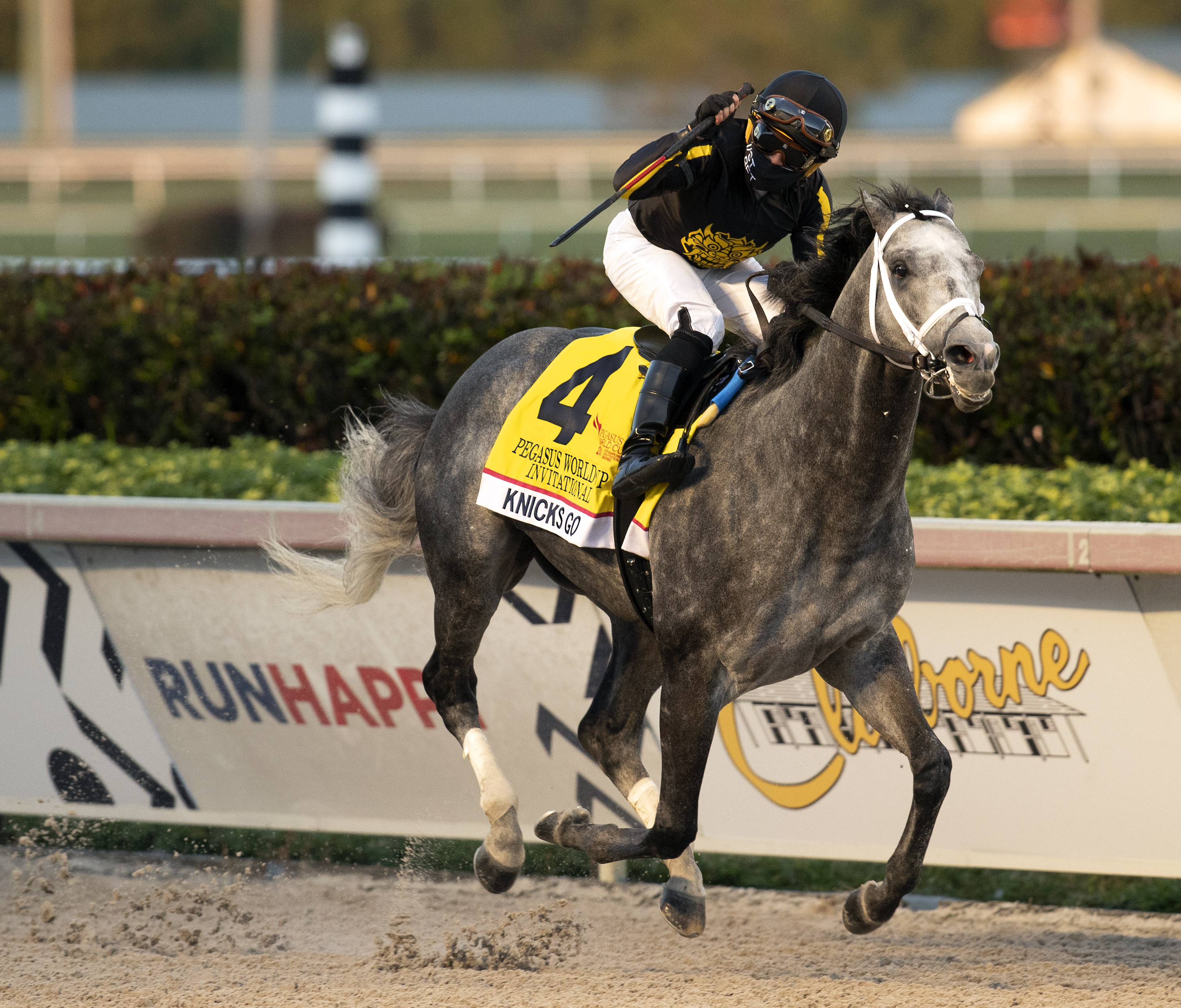 Knicks Go wins Pegasus 1-23-2021