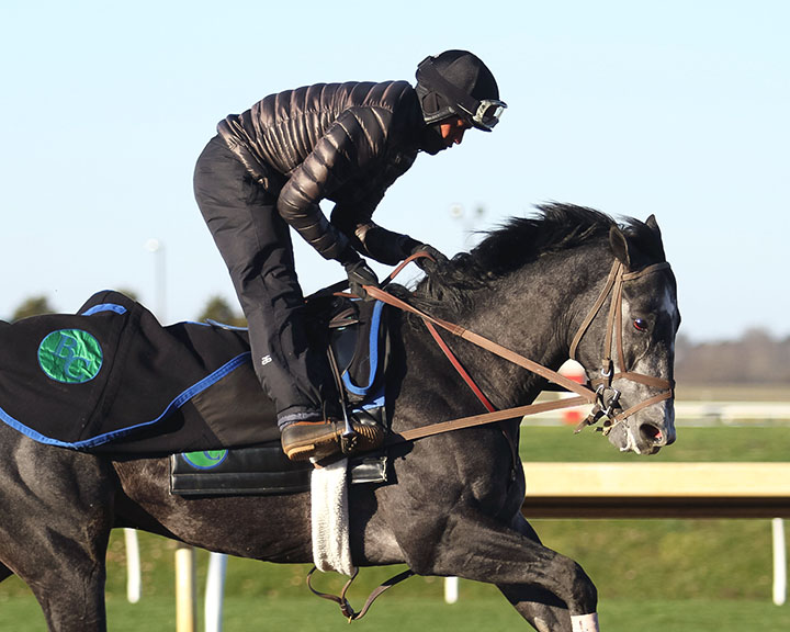 Knicks Go trains at Keeneland Race Course in March 2019