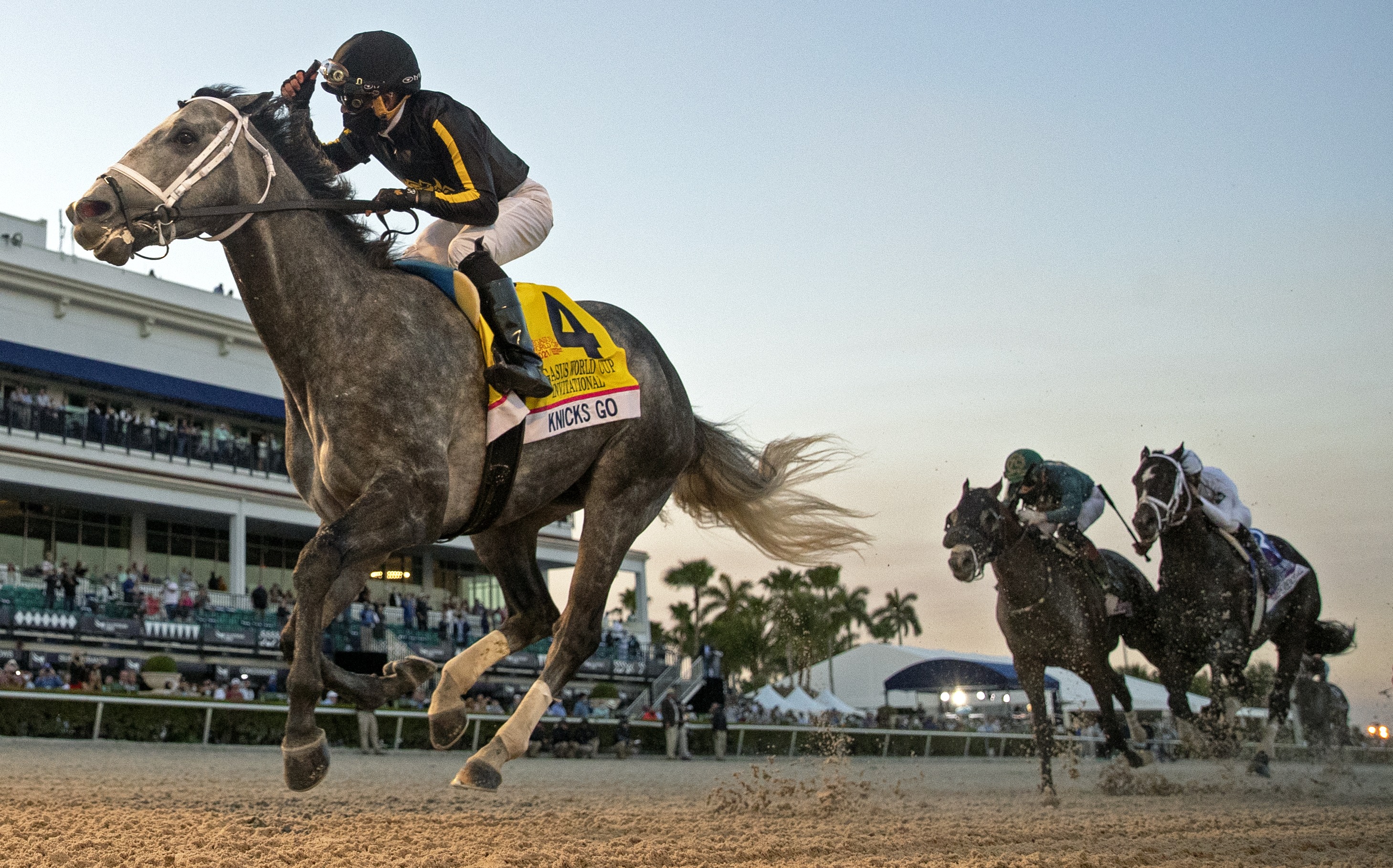 Knicks Go/Pegasus World Cup