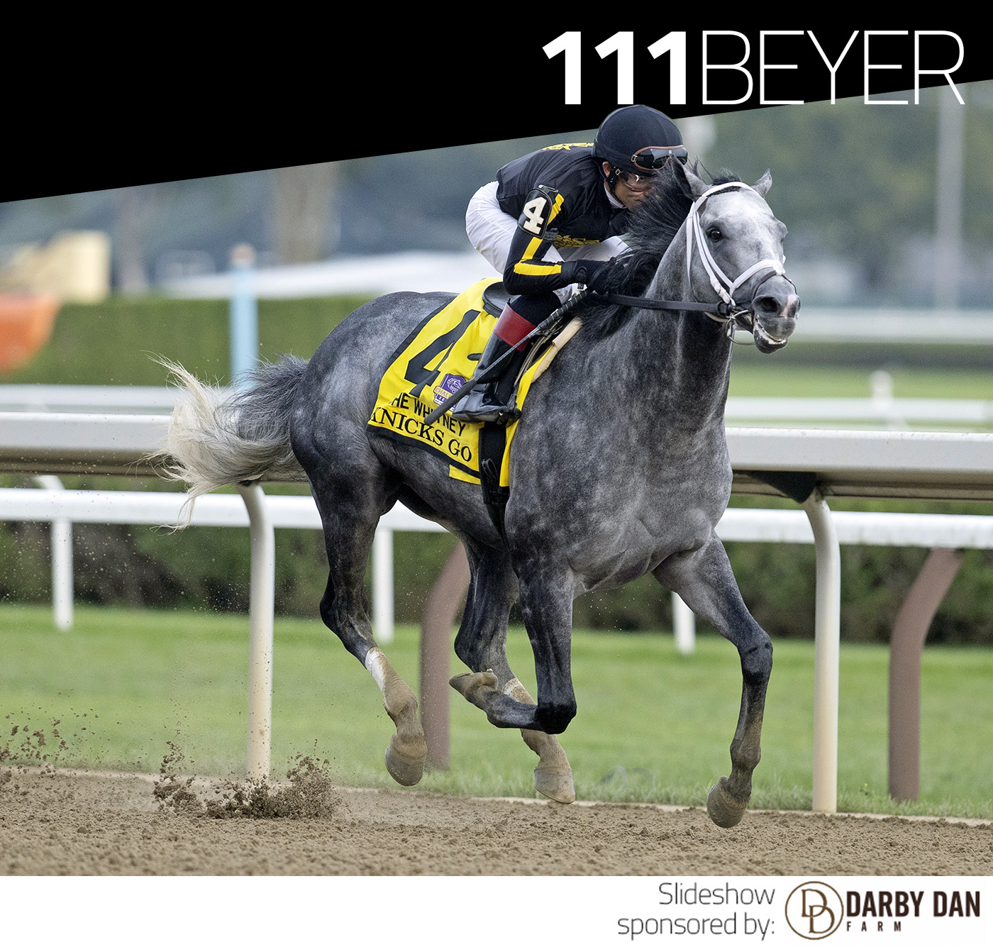 Knicks Go, Whitney Stakes, BEYER