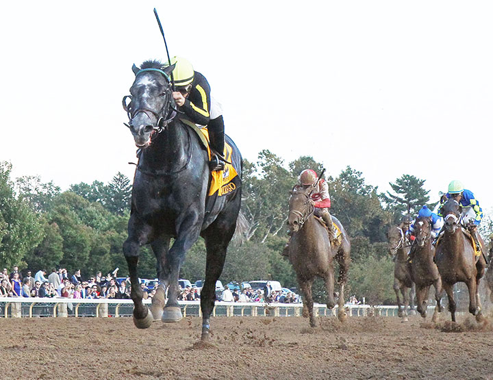 Knicks Go wins the 2018 Breeders Futurity