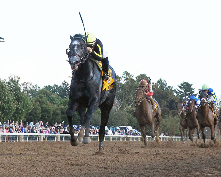 Knicks Go wins the 2018 Breeders Futurity