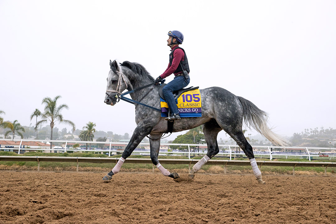 Knicks Go at Del Mar on Nov. 3