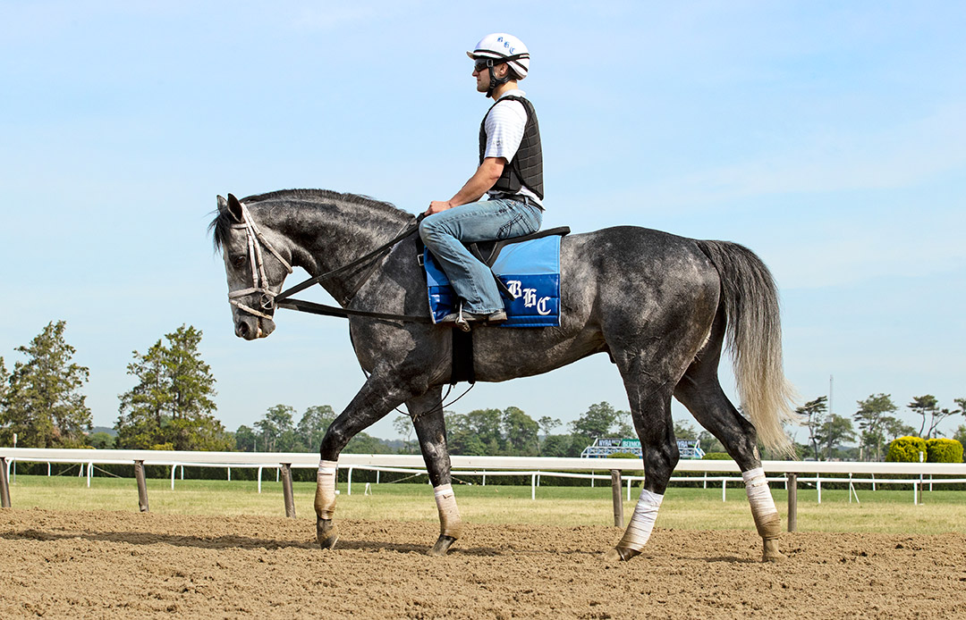 Knicks Go at Belmont Park in June 2021