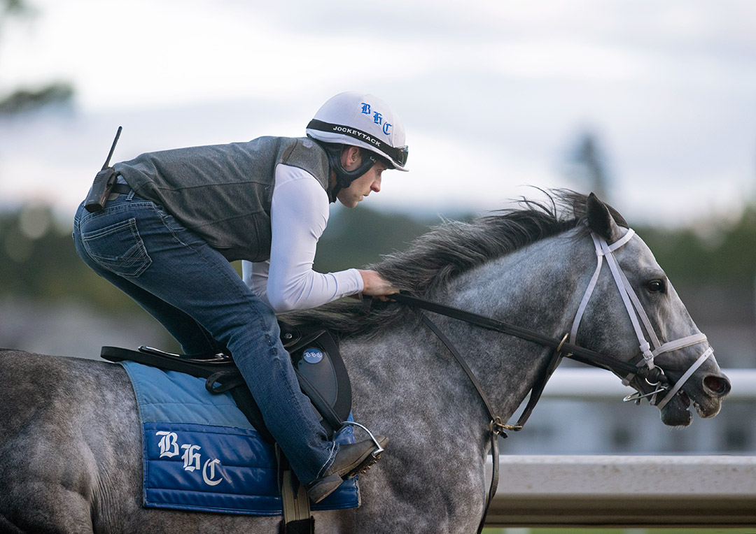 Knicks Go trains at Saratoga Race Course on Sept. 3