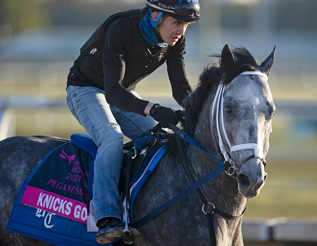 Knicks Go trains at Gulfstream Park on Jan 21
