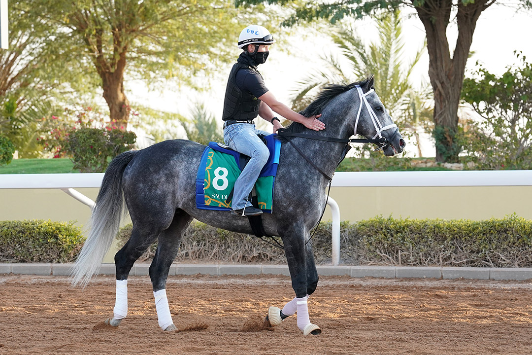 Knicks Go at King Abdulaziz Racetrack on Feb. 17