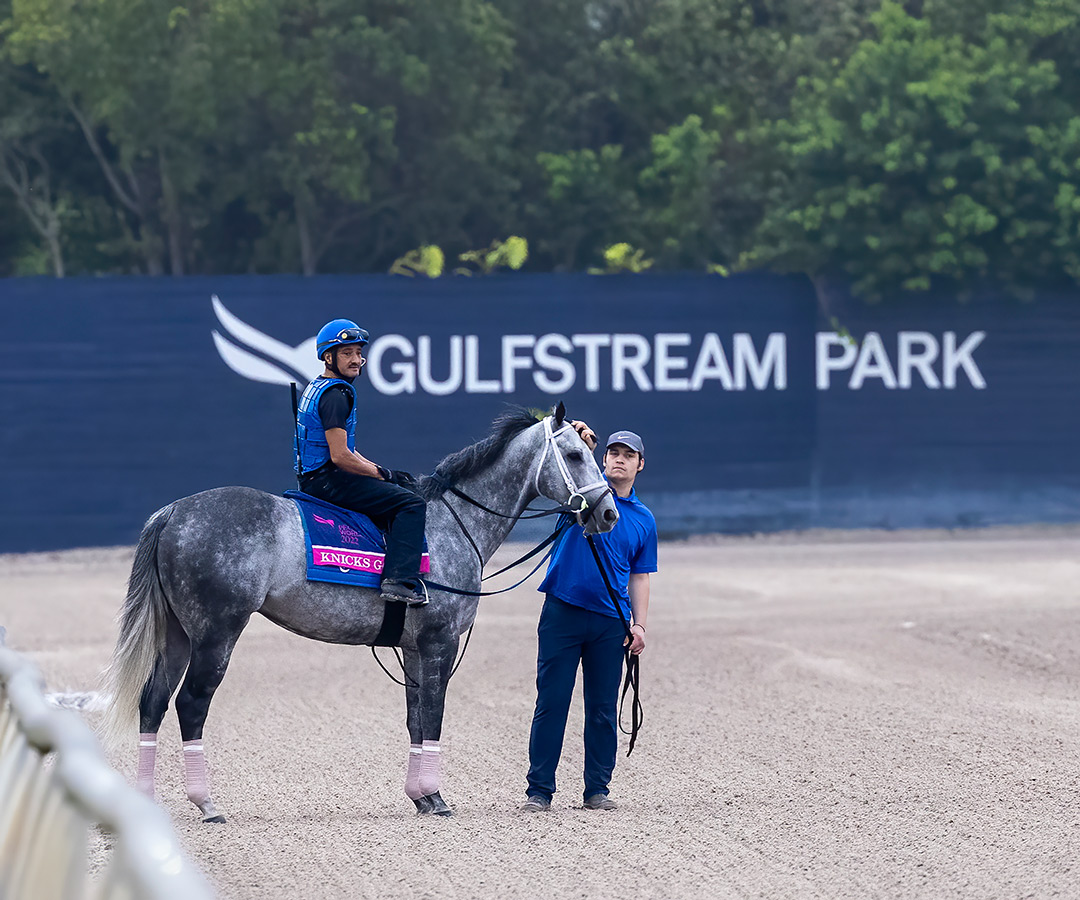 Knicks Go at Gulfstream Park on Jan. 27