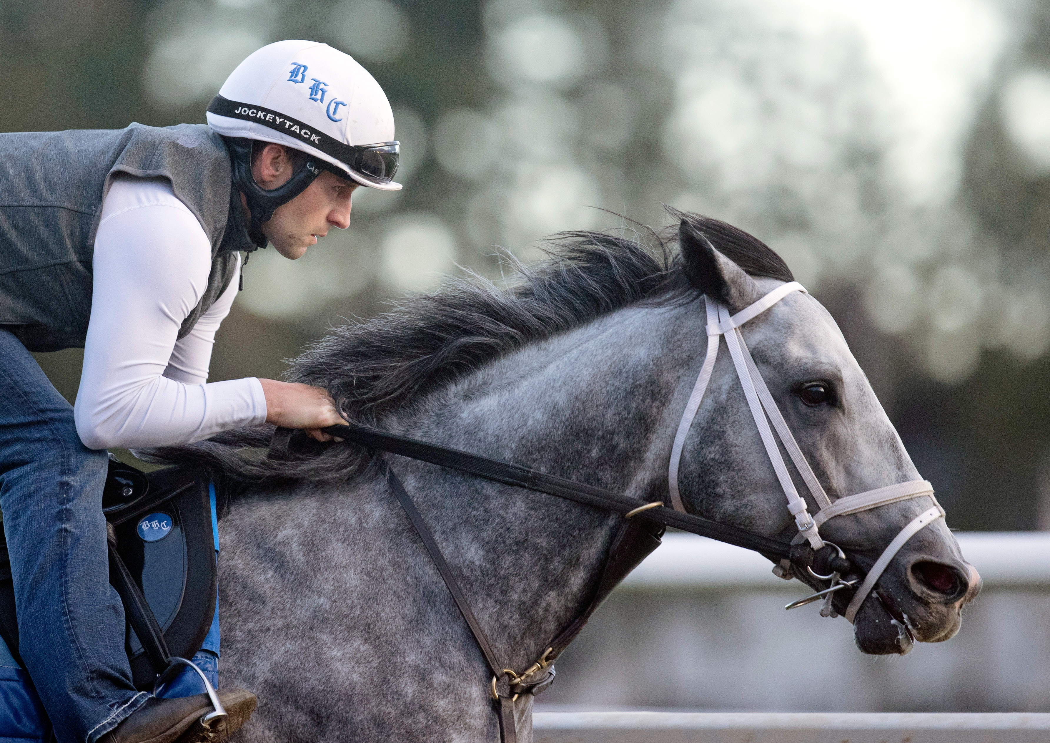 Knicks Go trains at Saratoga Race Course on Sept. 3