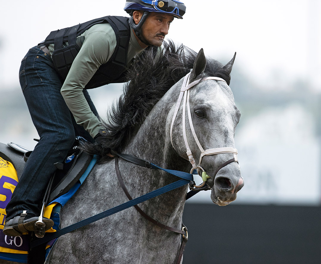 Knicks Go trains at Del Mar on Nov. 2