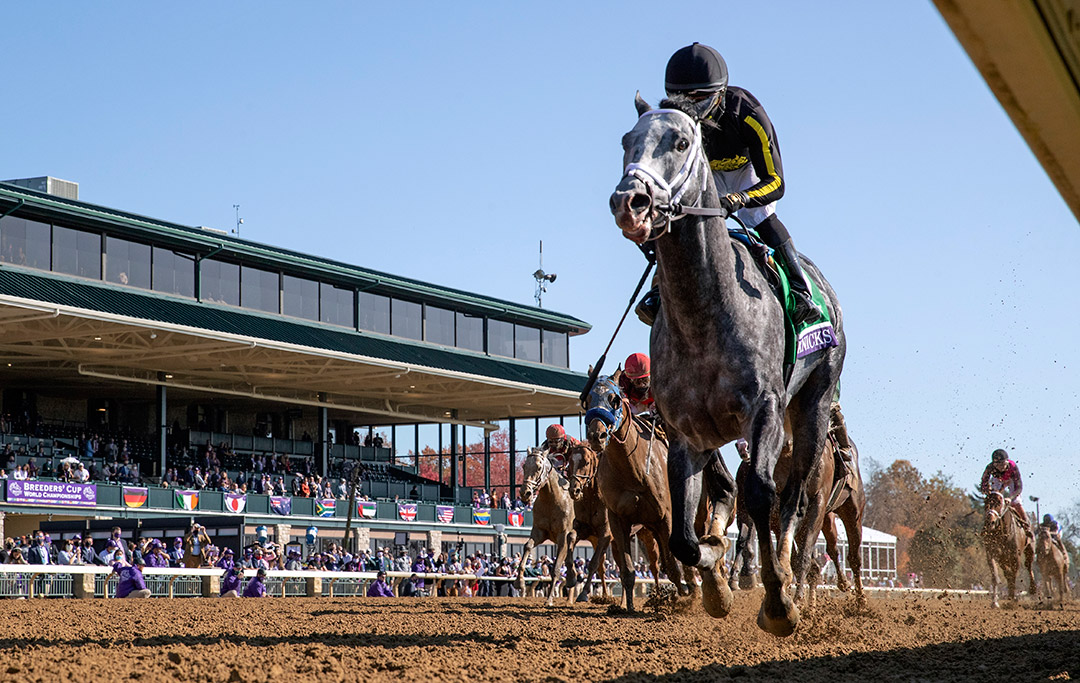 Knicks Go wins the 2020 Breeders' Cup Dirt Mile at Keeneland