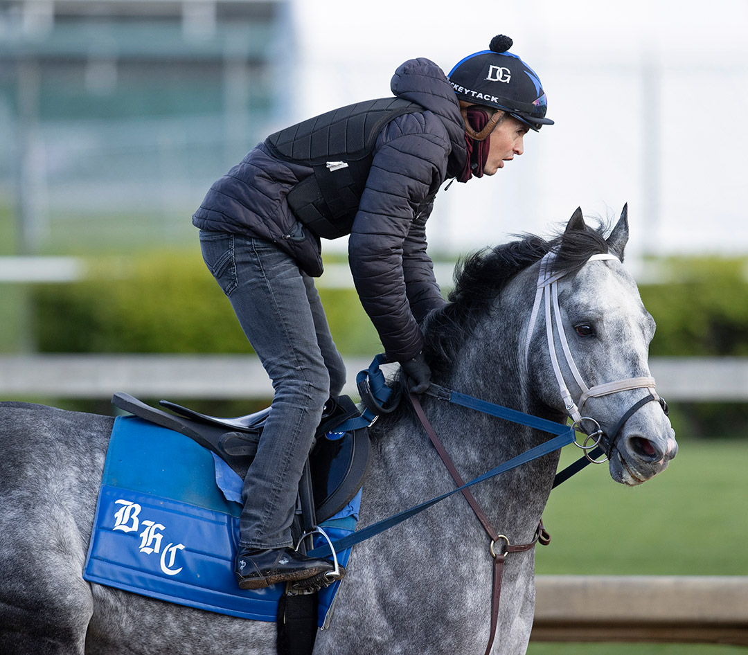 Knicks Go trains at Churchill Downs on April 22