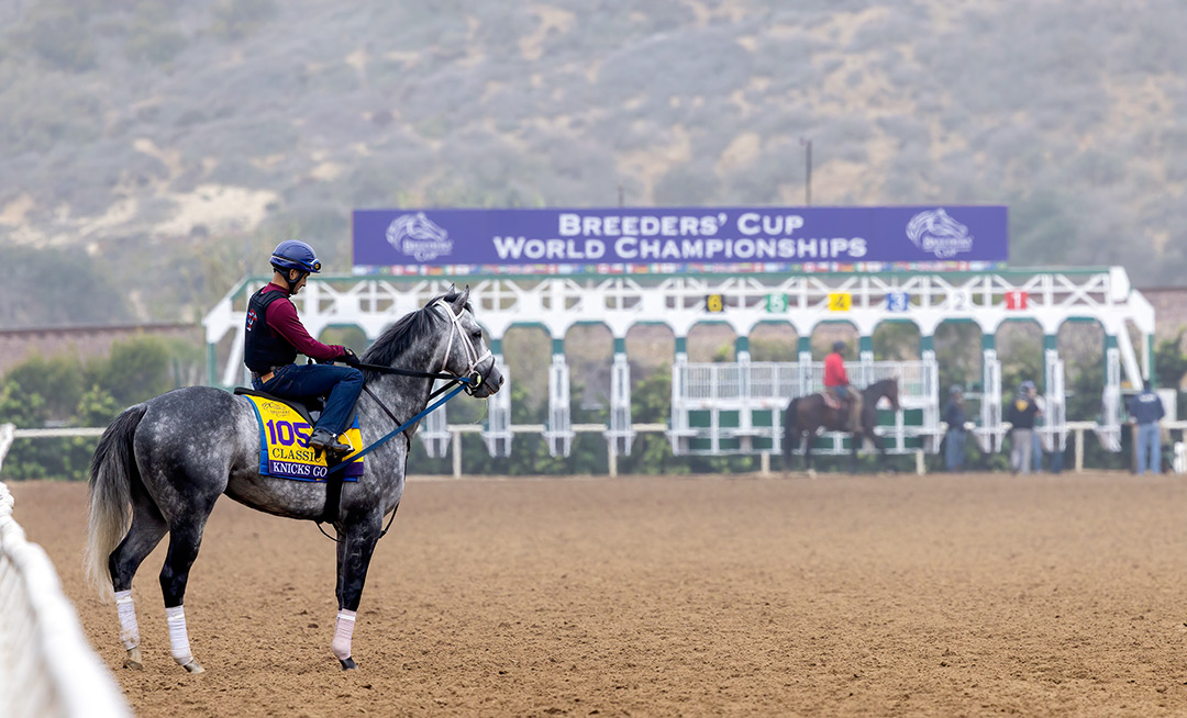 Knicks Go at Del Mar on Nov. 3