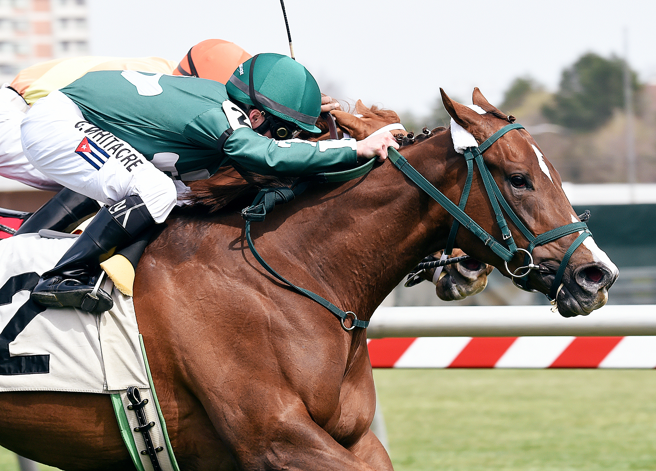 Knit One Purr Too wins the Stormy Blues Stakes
