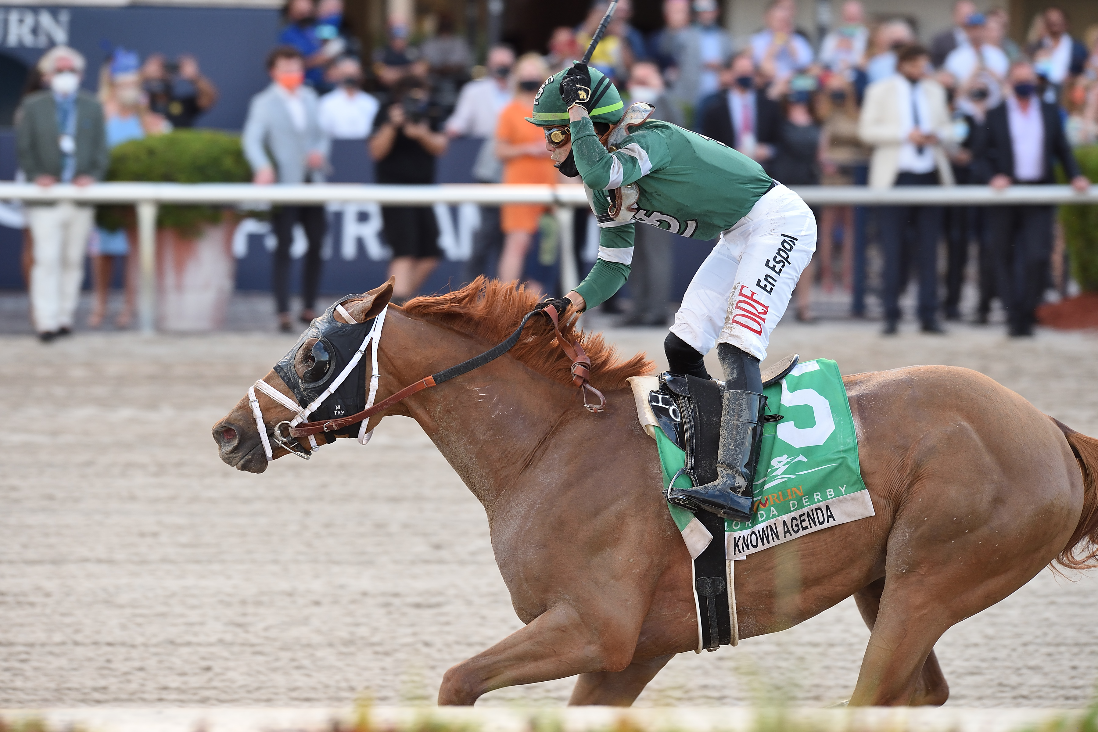 Known Agenda - Florida Derby 2021