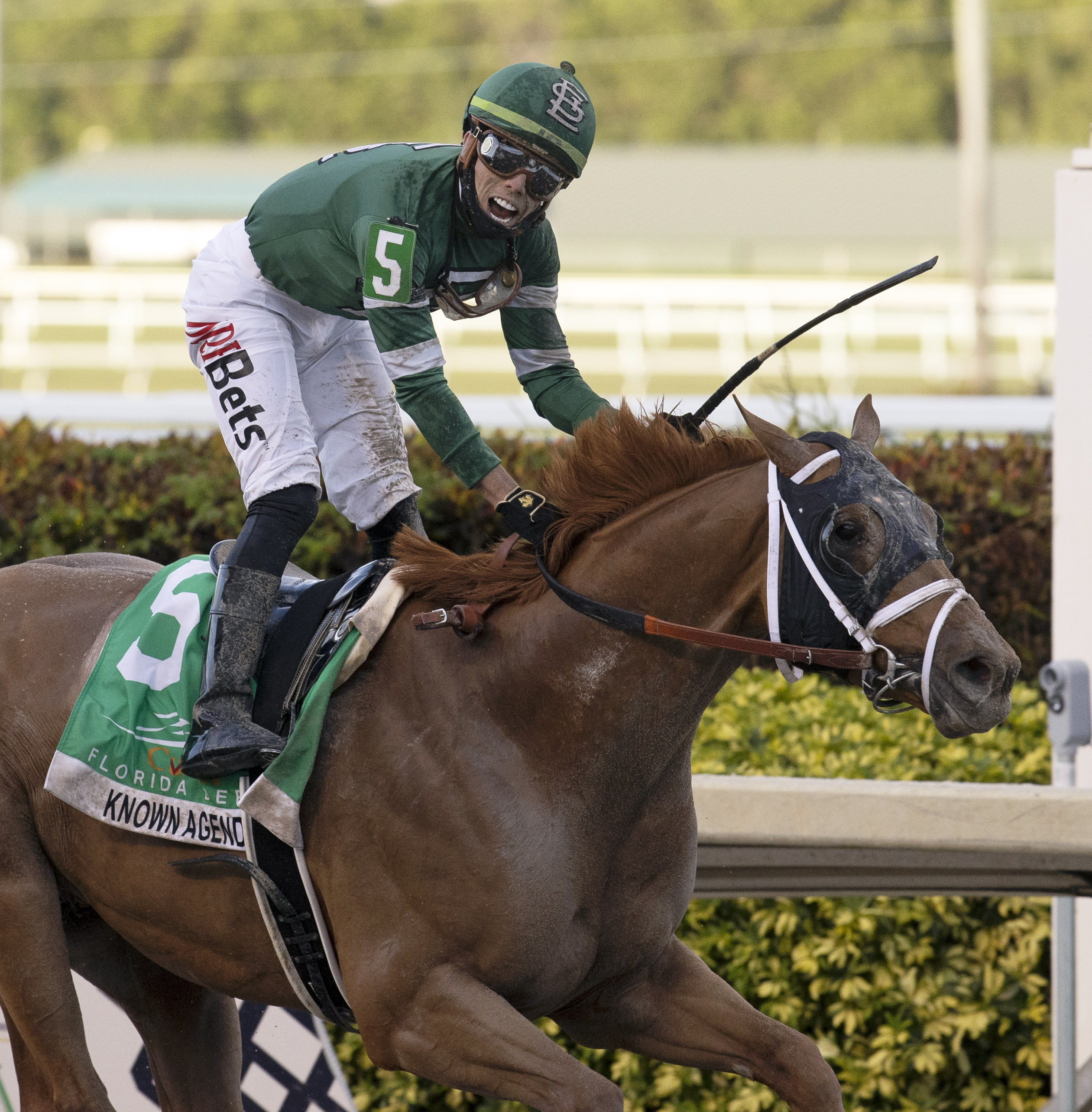 Known Agenda wins Florida Derby (BL) 3-27-2021