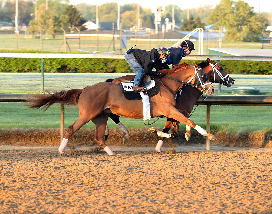 Known Agenda (outside) and Sainthood work at Churchill Downs on April 15