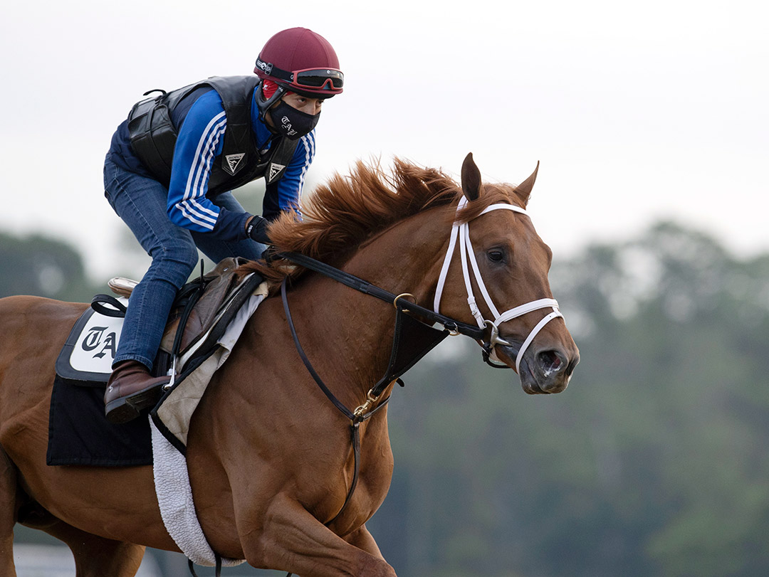Known Agenda trains at Belmont Park on June 1