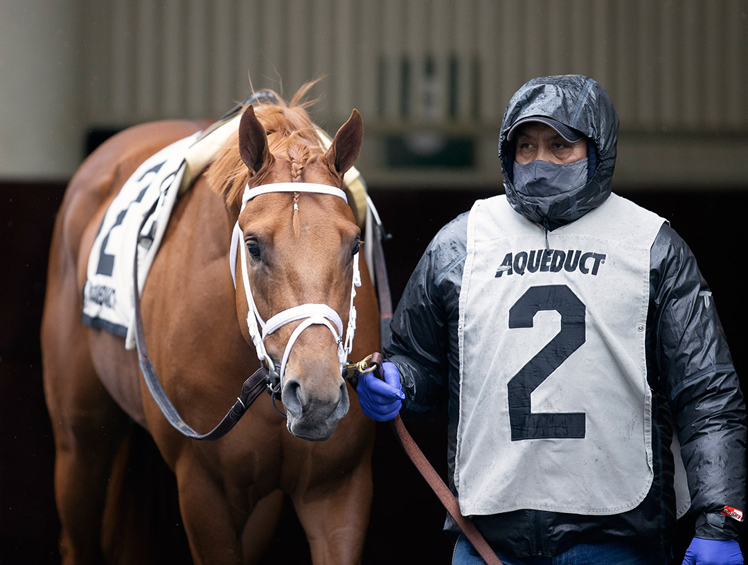 Known Agenda at Aqueduct in December 2020
