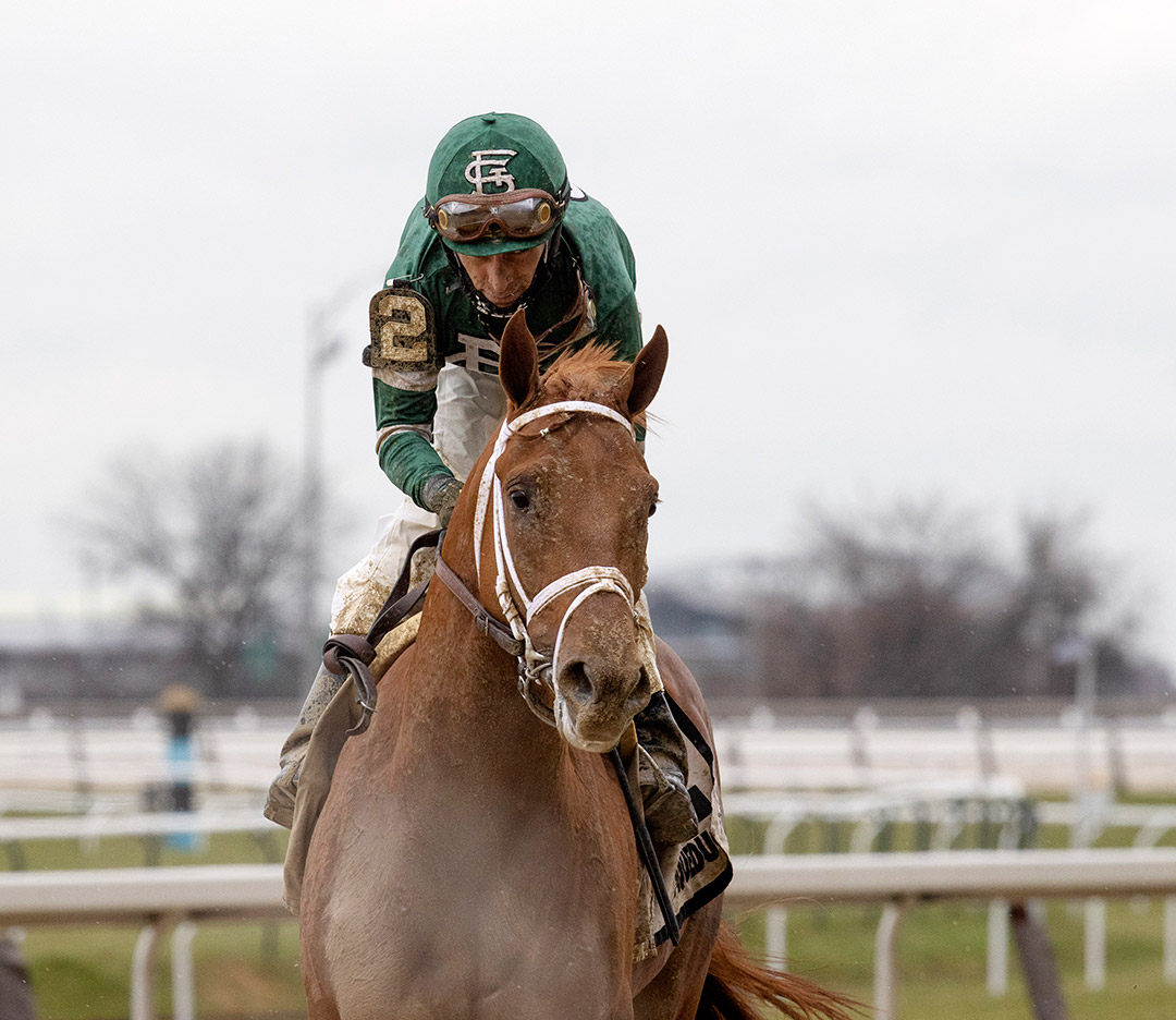 Known Agenda at Aqueduct in December 2020