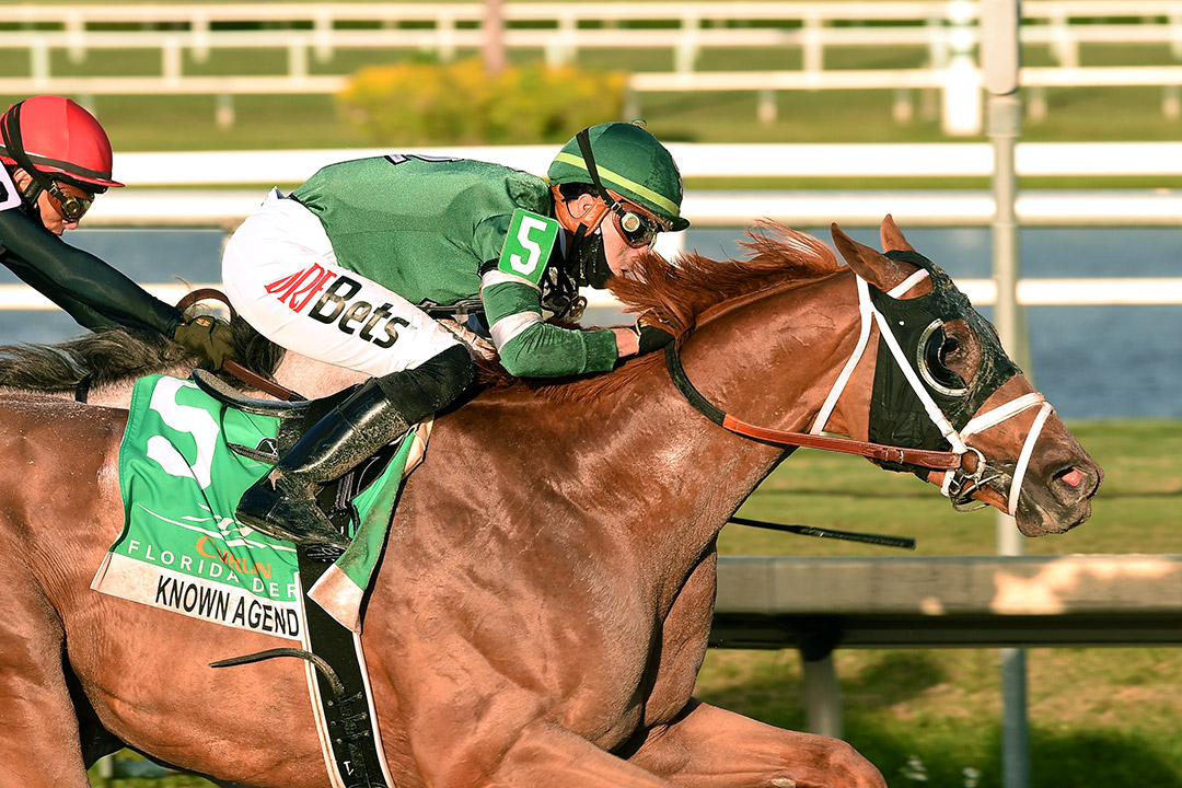 Known Agenda wins the 2021 Florida Derby at Gulfstream Park