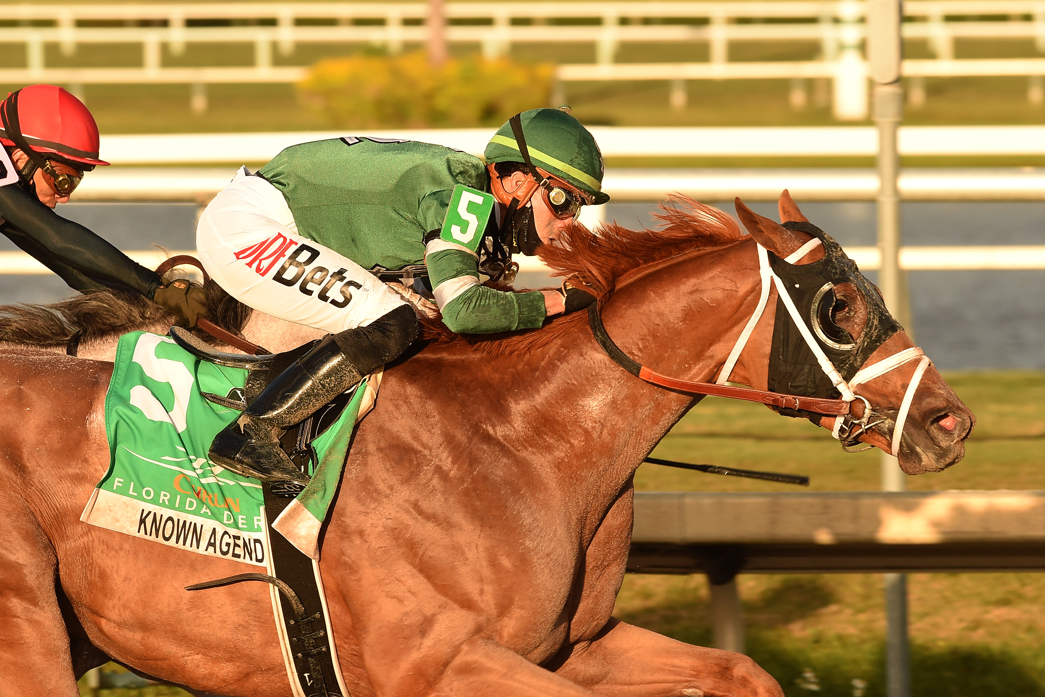 Known Agenda wins Florida Derby (LM) 3-27-2021