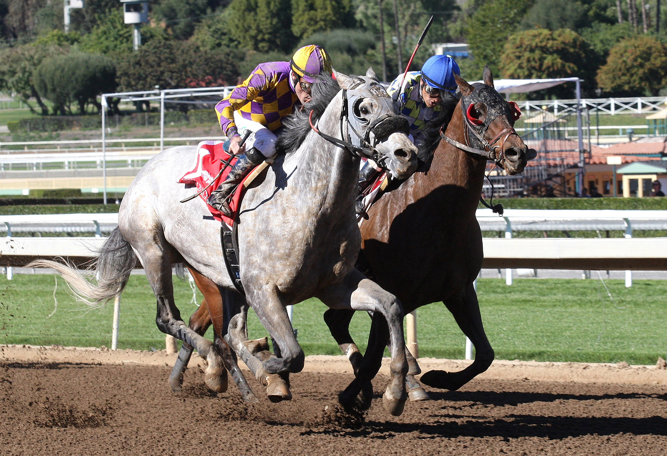Kobe's Back wins the Palos Verdes