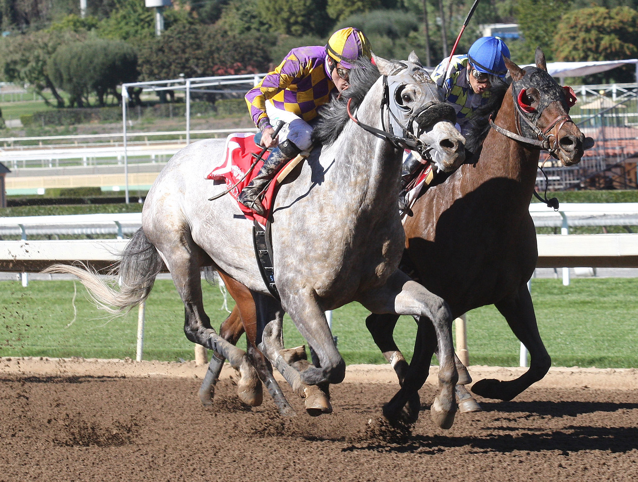 Kobe's Back wins the Palos Verdes