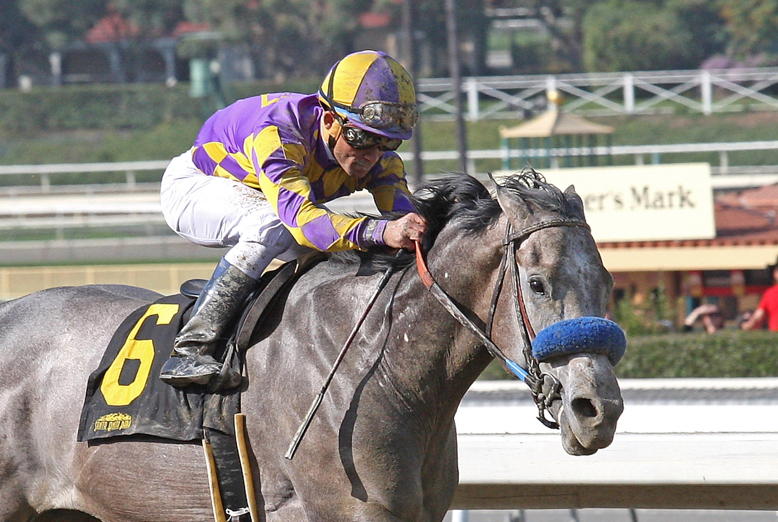 Kobe's Back wins the San Vincente