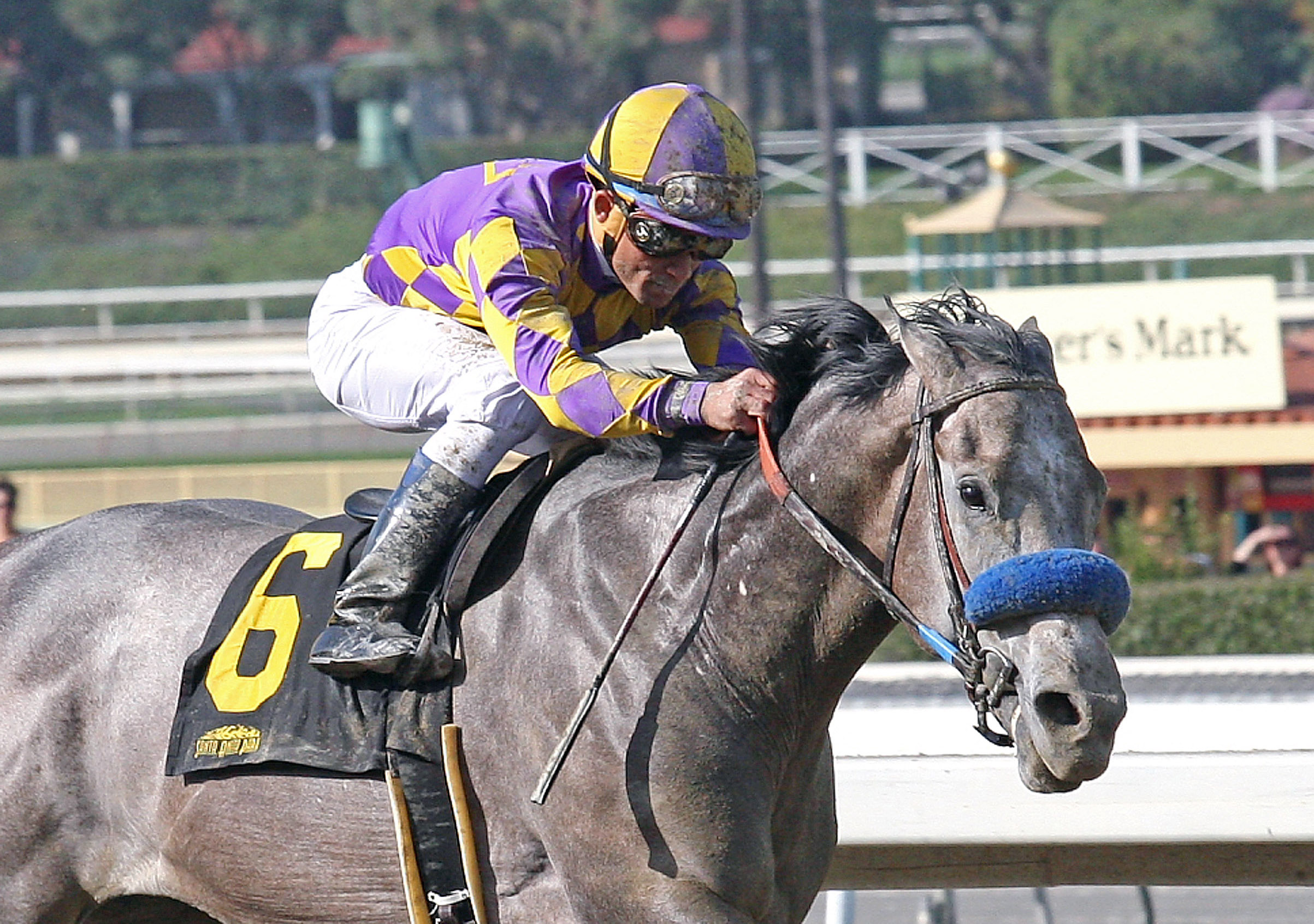 Kobe's Back wins the San Vincente