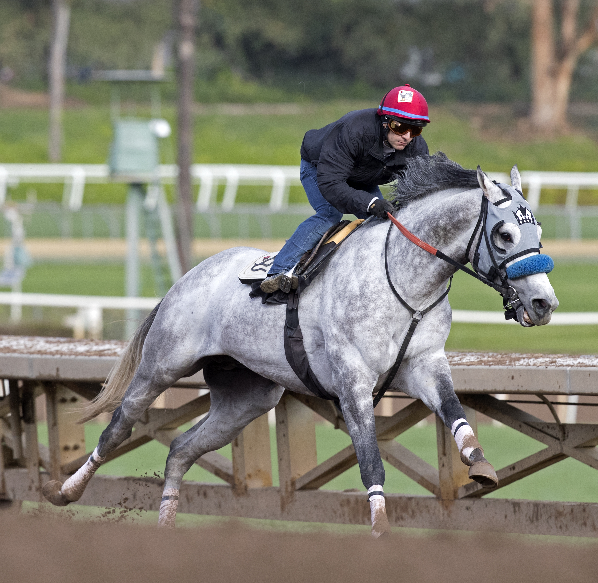 Kobe's Back training at Santa Anita on Jan. 3