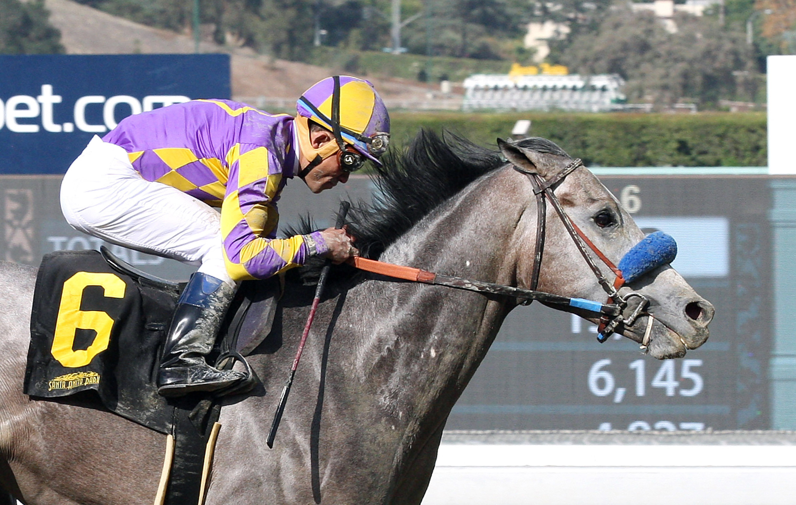 Kobe's Back wins the San Vincente