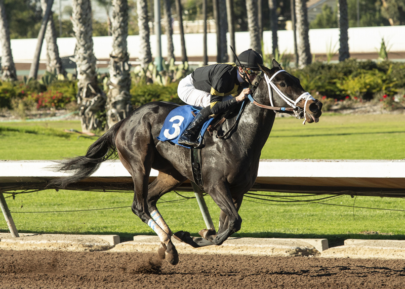 Kookie Gal wins the 2018 Soviet Problem Stakes