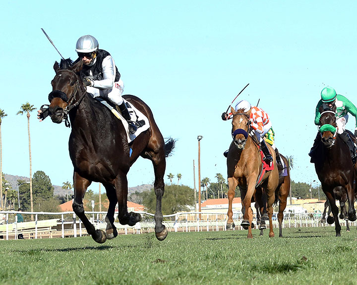 Kool Kate wins the 2020 Glendale Handicap at Turf Paradise