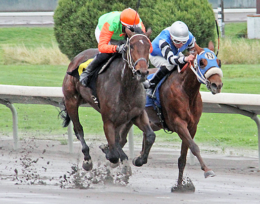 Kozzys Kitkat wins a maiden race